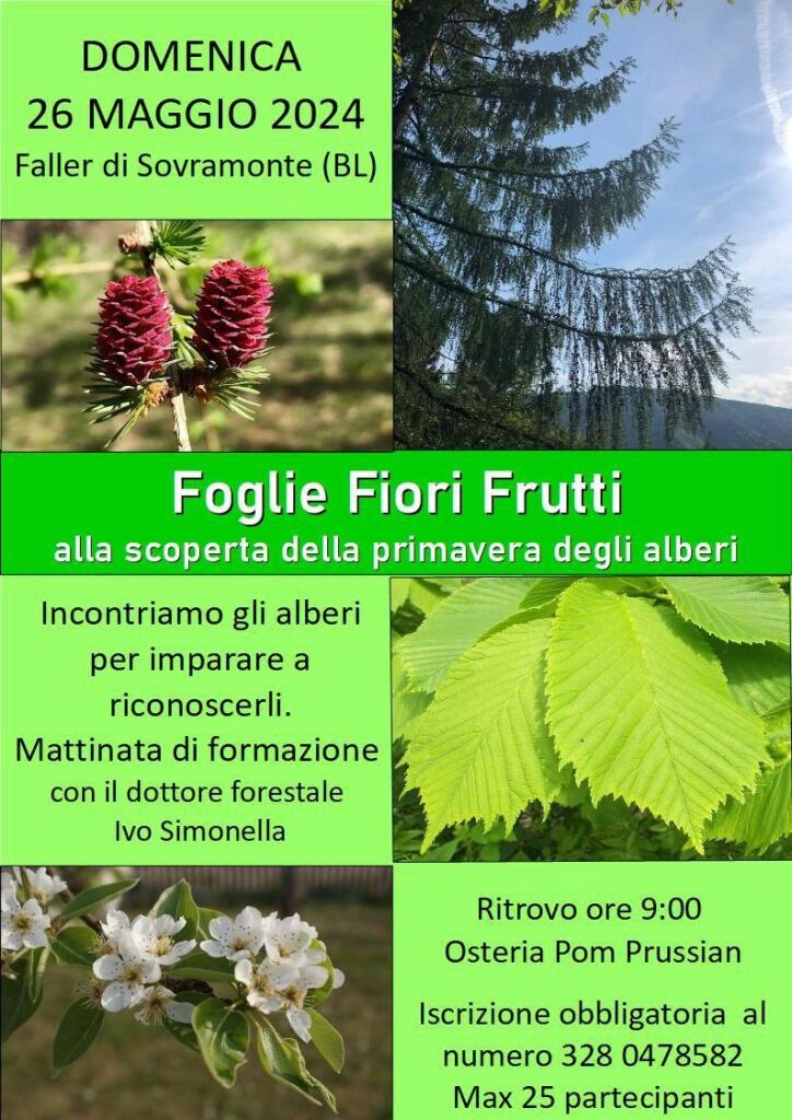Foglie, Fiori e Frutti, alla scoperta della primavera degli alberi di Faller